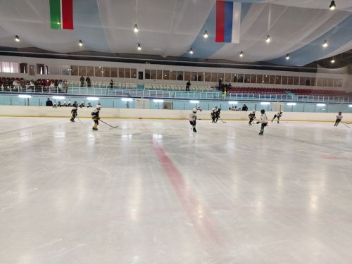 «Кречеты» выиграли в матче с хоккеистами из Актаныша