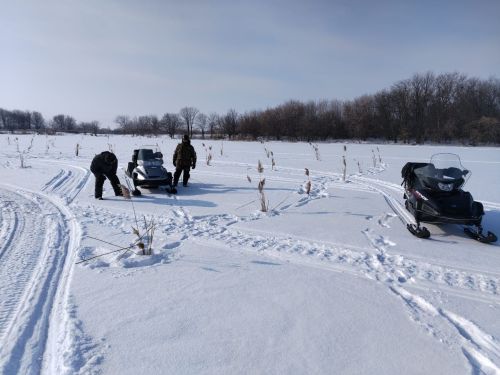 В Мензелинске прошла акция под названием «Рыбе — быть!»
