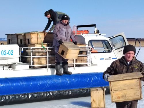 В Мензелинском районе установили гнездовья для уток