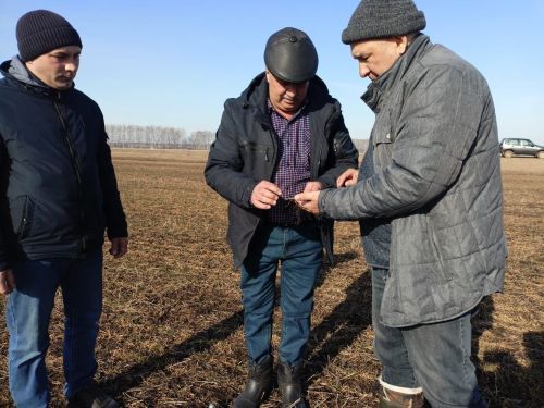Глава Мензелинского района Айдар Салахов проверил состояние полей озимых