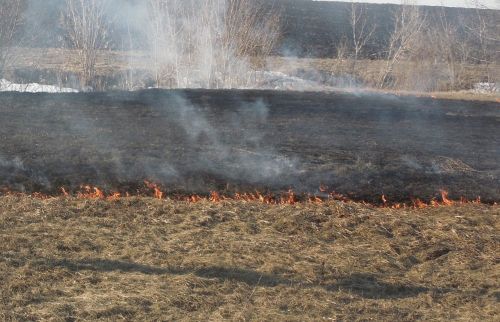 В Мензелинском районе вводится особый противопожарный режим