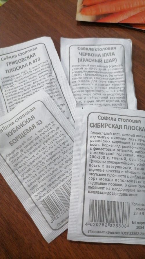 Выращивание столовой свеклы: секреты богатого урожая