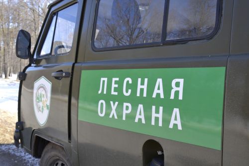 Лесники и МЧС Татарстана перешли на усиленный режим из-за аномальной пожароопасности