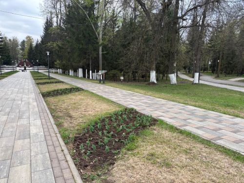 Чистый парк — достойная встреча Дня Победы