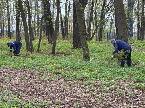 Чистый парк — достойная встреча Дня Победы