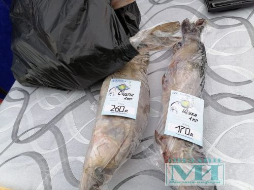 Весенняя ярмарка в Мензелинске: мнения продавцов и покупателей