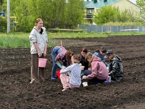 От семечки до урожая: в школе-интернате прошла масштабная посадка овощей
