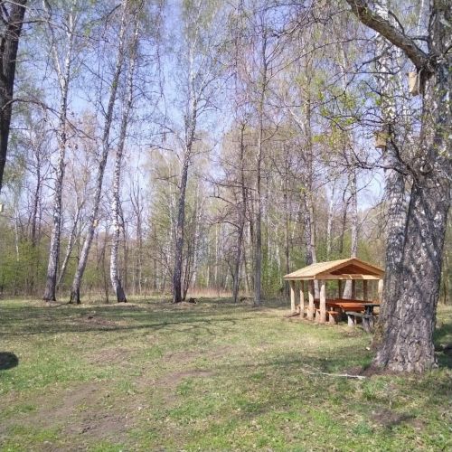 Мензелинское лесничество продолжает очистку территории лесного фонда