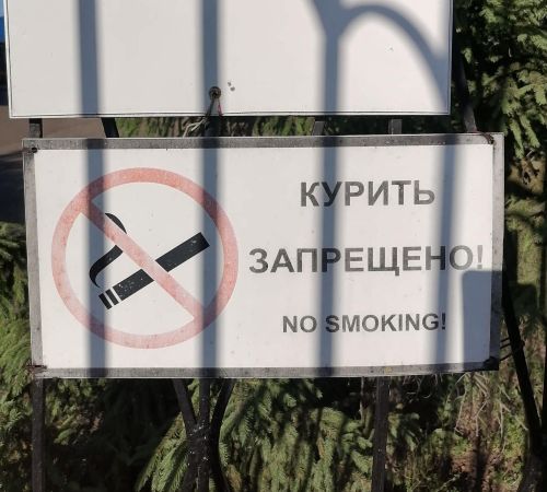 Курение и его вред для здоровья: почему важно отказаться от сигарет