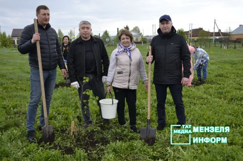 Сад Памяти в Мензелинске: 80 лет Победы — 80 лип