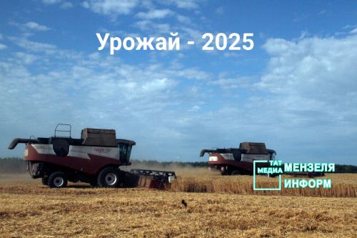 Мензелинский район в разгаре уборочной страды