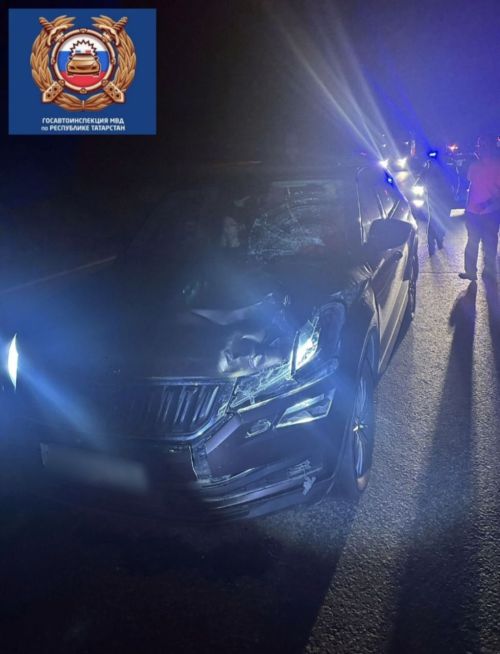 Пешеход погиб под колесами автомобиля