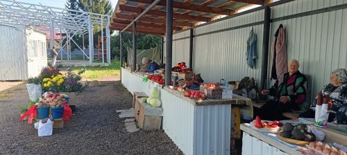 Мензелинский рынок радует изобилием осенних даров