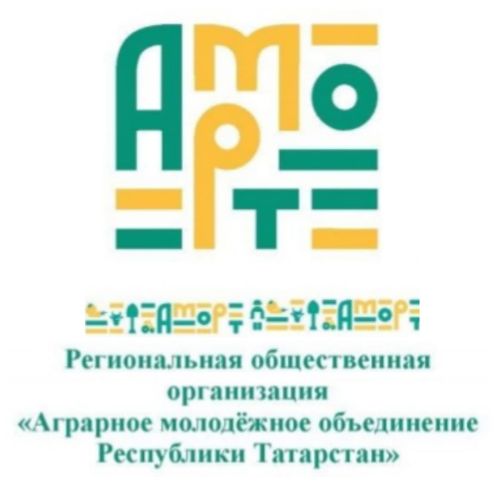 Активисты Мензелинского района приняли участие в зональном  семинаре «Творческая мастерская»