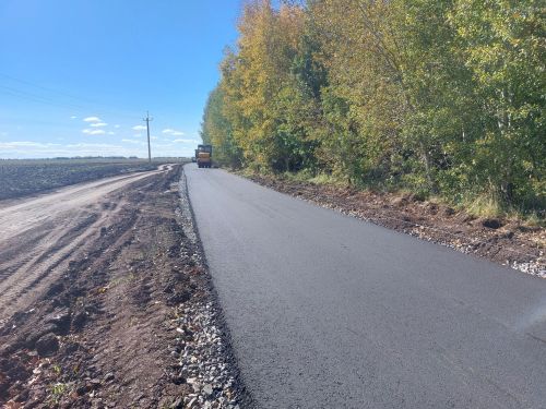 В Мензелинске начались работы по асфальтированию дороги к лагерю «Олимпиец»