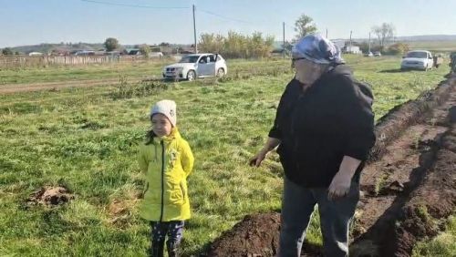Десять тысяч саженцев — это стремление к красоте, а не к выполнению плана