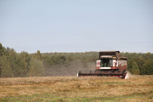 Хлеборобы Мензелинского района собрали 159 тыс. тонн зерна