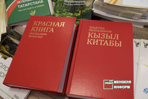Школьники и педагоги Татарстана представили экологические проекты в Мензелинске