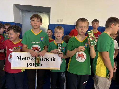 В Мензелинске прошёл межрайонный турнир по борьбе корэш