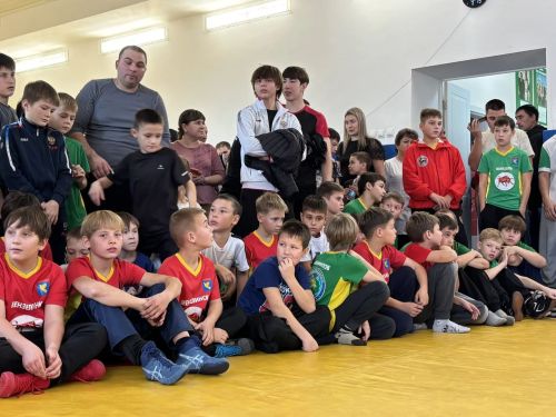 В Мензелинске прошёл межрайонный турнир по борьбе корэш