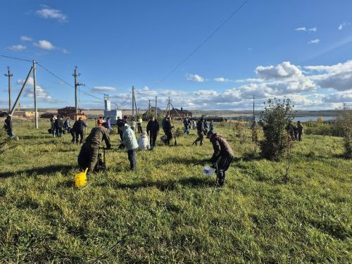 В  Мензелинске посадка деревьев стала красивой традицией