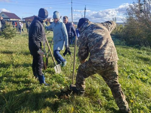 Минзәлә шәһәрендә агач утырту өмәсе матур традициягә әйләнде