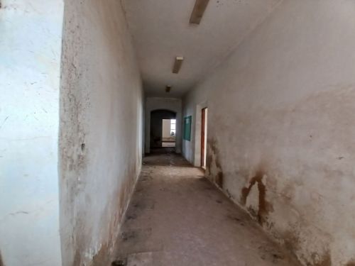 На базе Мензелинского сельскохозяйственного техникума откроется новый факультет