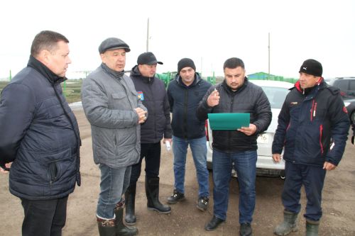 Минзәлә районы башлыгы Айдар Салахов хуҗалыклардагы эшләр белән танышты