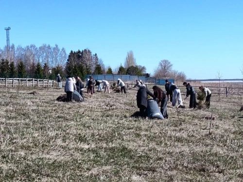В Мензелинске прошла акция по благоустройству Набережной реки Мензеля