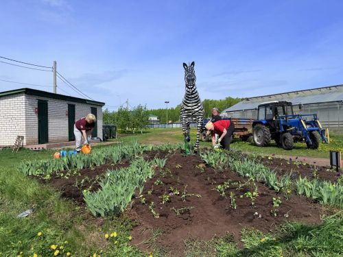 Мензелинск готовится к встрече гостей