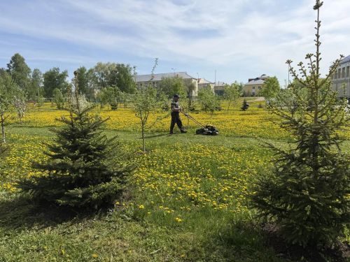 Мензелинск готовится к встрече гостей