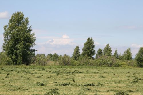 В хозяйстве «Калмурзино» работа кипит