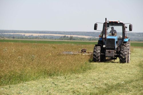 В Мензелинском районе дожди мешают сельчанам заготавливать сено