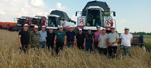 В ООО «Заиковский» Мензелинского района начали уборку семенной озимой пшеницы