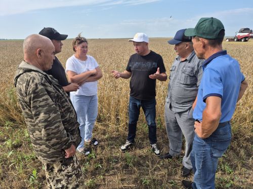 На полях Мензелинского района темпы уборочной кампании нарастают