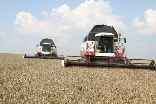 В Мензелинском районе завершена половина уборочной кампании