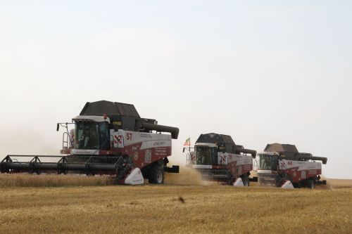 Минзәлә районында тулай җыем 117 мең тоннадан артты