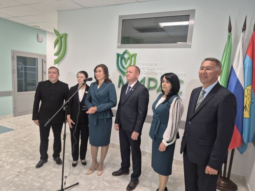 В Мензелинске в онлайн-формате открыли новую гимназию