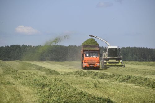 В Мензелинском районе на одну условную голову скота заготовлено 19,1 центнера кормов