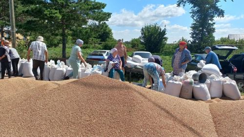 Минзәлә районы Бикбау авылы халкы пай җирләре өчен икмәк алды