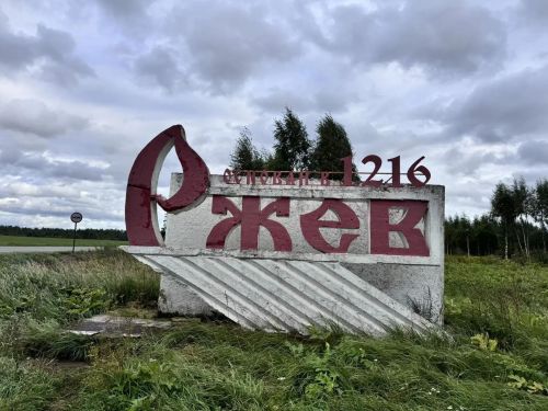 Более 200 человек приняли участие в международной поисковой экспедиции подо Ржевом