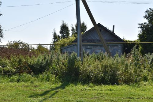 Ахматовка держится на старожилах: как живёт маленькая деревня