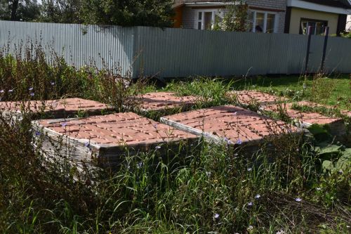 Жители деревни Куяново Мензелинского района  не из боязливых