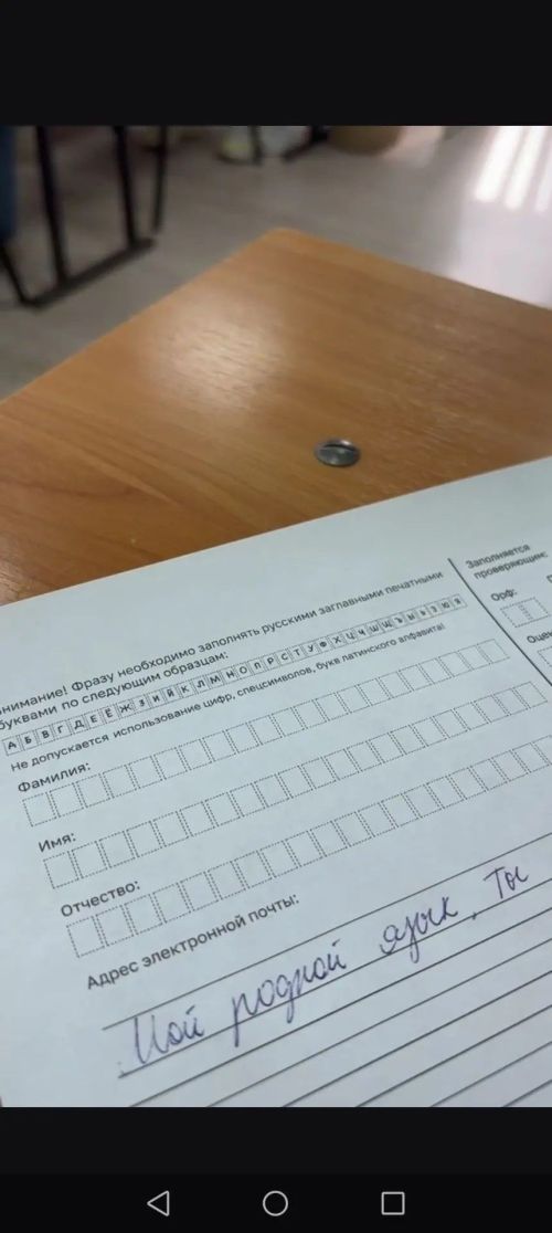 Мензелинцы присоединились к Всероссийскому диктанту «Россия — дом народов»