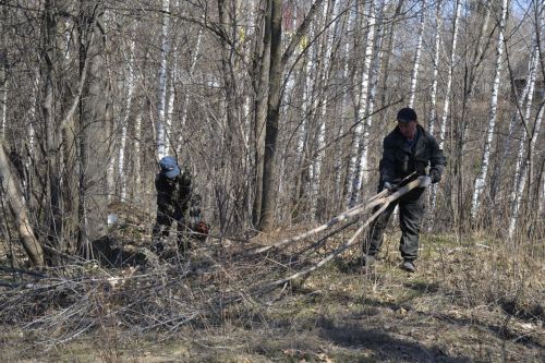 В парке имени Ленина, на территории озера Кучканка прошли субботники.