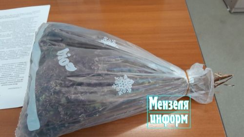 Жители села Коноваловка активно, в целях помощи мобилизованным, замешивают тесто, чтобы затем засушить лапшу, собирают иван-чай, другие полезные травы