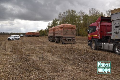 В агрохолдинге "Август" продолжается уборка подсолнечника