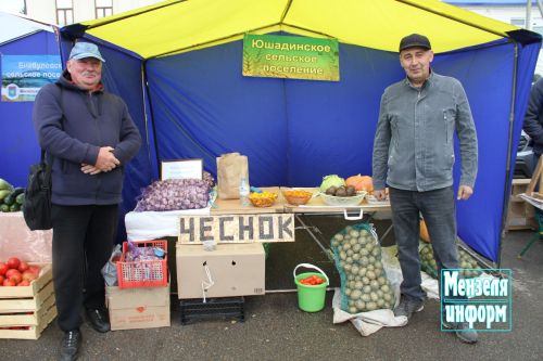 Первая осенняя ярмарка в Мензелинске
