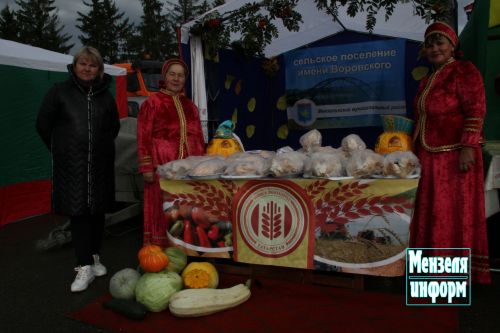 Первая осенняя ярмарка в Мензелинске