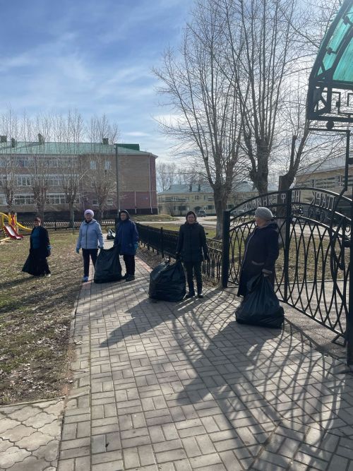 Общими усилиями мензелинцы навели чистоту